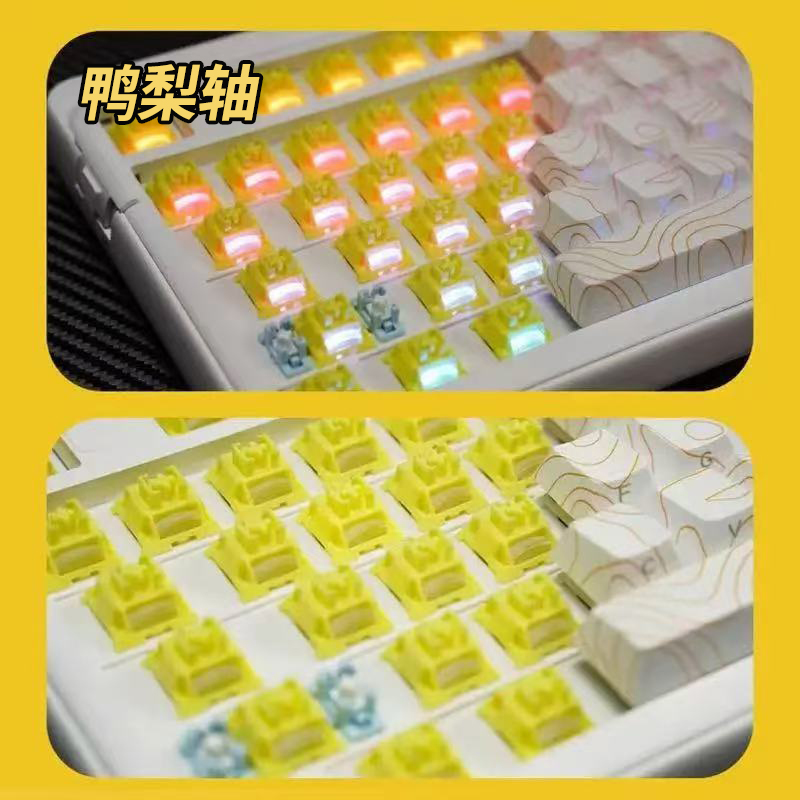 OUTEMU Pear Switch HP Tactile  - Hot Swap Keyboard Switch 5 Pin review and price