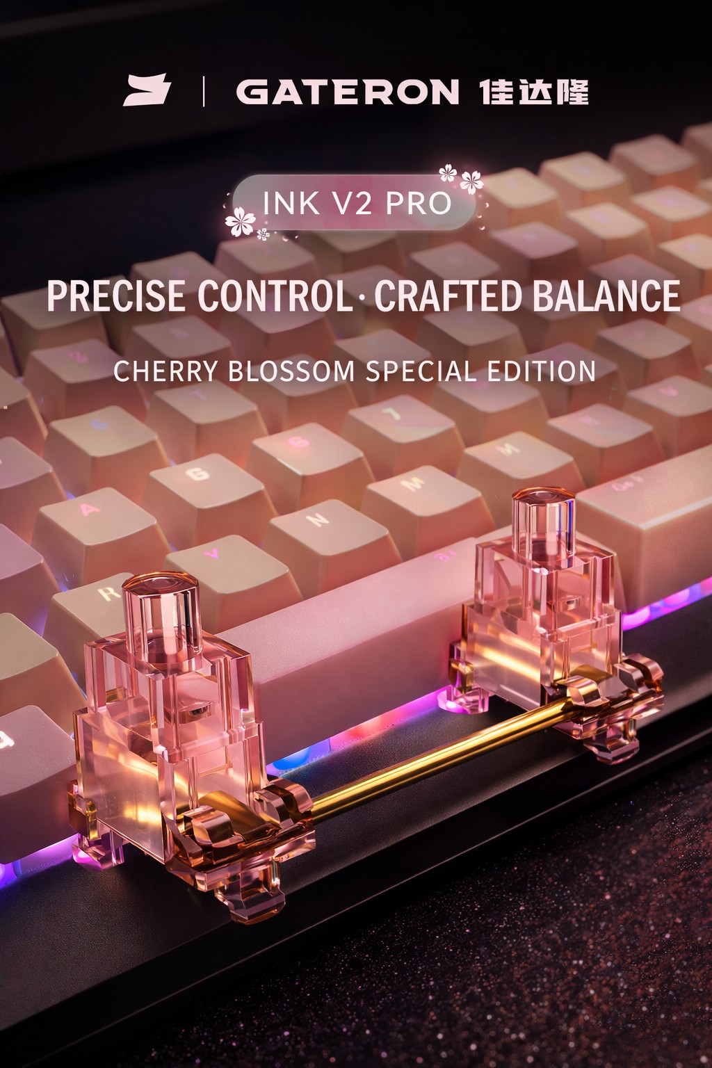 Gateron INK V2 Pro Screw-In St - Keyboard Stabilizer Screw In review and price